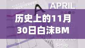 多维视角下的白沫BM事件,历史上的11月30日深度探讨