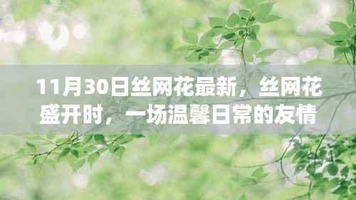 丝网花盛开时,温馨日常的友情记录