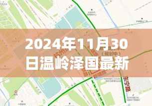 温岭泽国最新规划揭秘,自然美景的探索之旅(2024年11月30日)