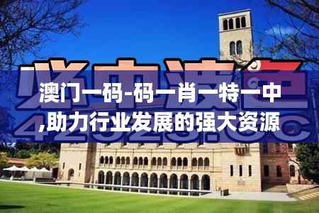 澳门一码-码一肖一特一中,助力行业发展的强大资源_T64.885-5