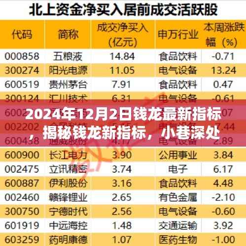 揭秘钱龙新指标,小巷深处的独特风味宝藏小店探秘指南(最新更新)