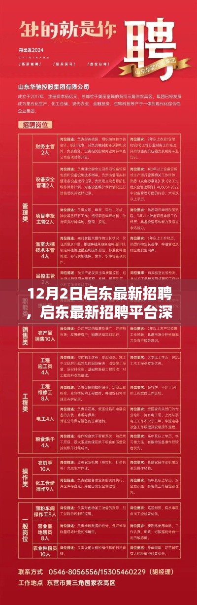 启东最新招聘平台测评报告,深度解析启东招聘市场现状(最新日期,12月2日)