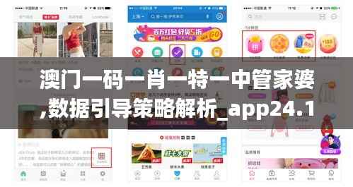 澳门一码一肖一特一中管家婆,数据引导策略解析_app24.125-3