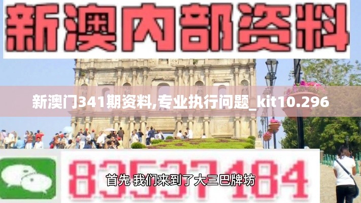新澳门341期资料,专业执行问题_kit10.296