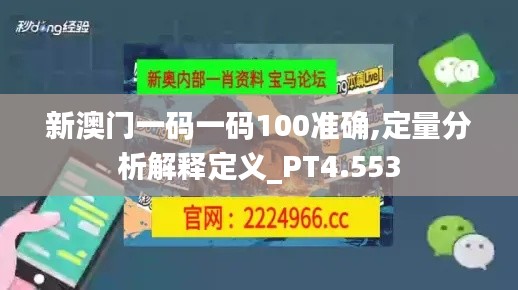 新澳门一码一码100准确,定量分析解释定义_PT4.553