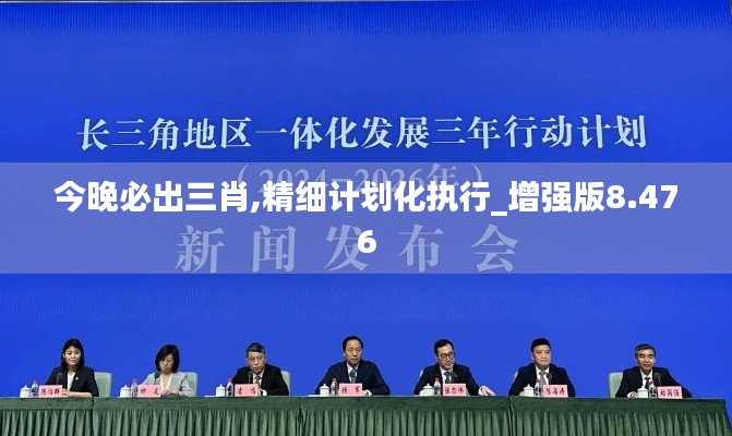 今晚必出三肖,精细计划化执行_增强版8.476