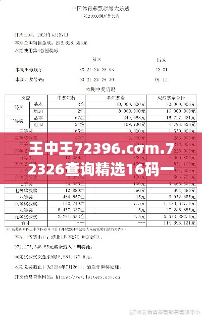 王中王72396.cσm.72326查询精选16码一,定性分析说明_4DM18.512