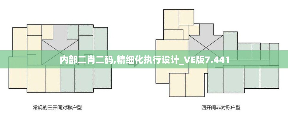 内部二肖二码,精细化执行设计_VE版7.441
