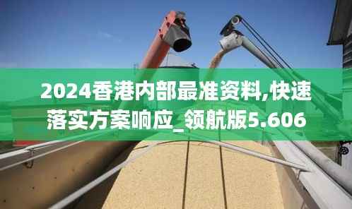 2024香港内部最准资料,快速落实方案响应_领航版5.606