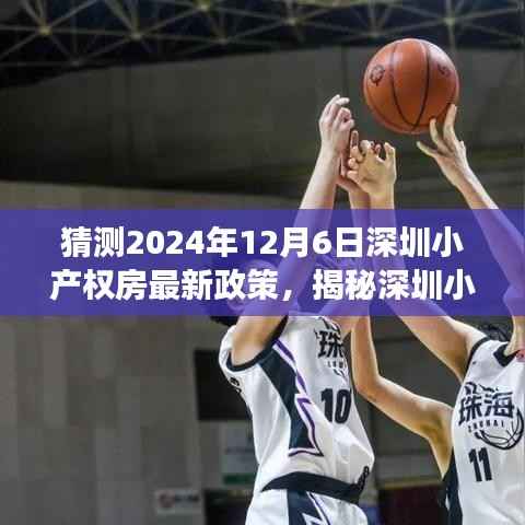 揭秘深圳小产权房新动向,政策猜想与美食奇遇之旅(预测至2024年)