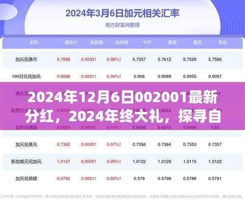 探寻自然美景之旅,最新分红背后的心灵之旅与年终大礼揭晓(2024年)