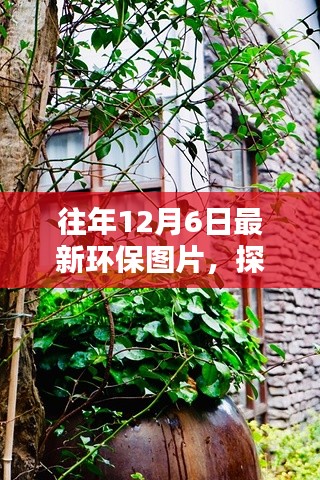 探秘小巷深处的绿意盎然,最新环保图片集萃