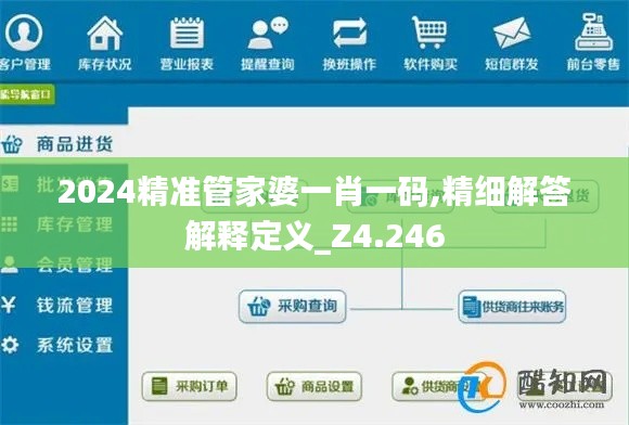 2024精准管家婆一肖一码,精细解答解释定义_Z4.246