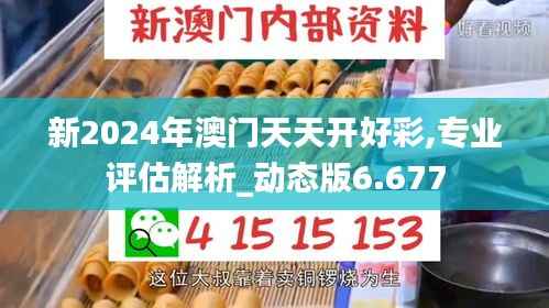 新2024年澳门天天开好彩,专业评估解析_动态版6.677