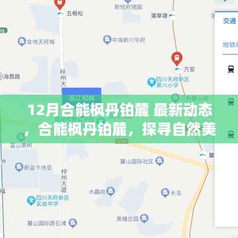 合能枫丹铂麓十二月最新动态,探寻自然美景的心灵之旅
