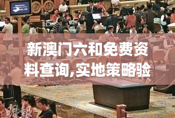 成功案例 第354页