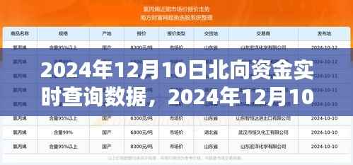 2024年12月10日北向资金实时查询数据解析及洞察
