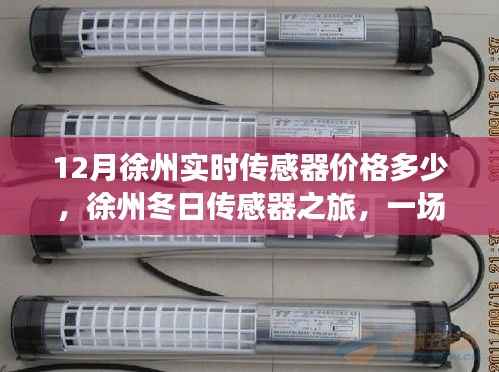 徐州冬日传感器价格探寻之旅,实时价格资讯与温馨体验