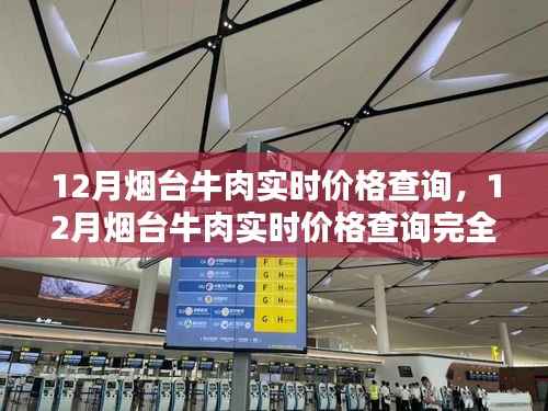 掌握最新烟台牛肉价格,全面攻略助你轻松查询