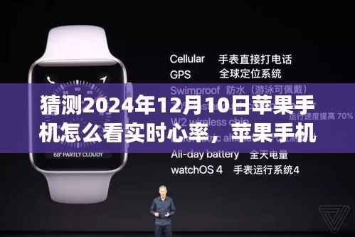 苹果手机实时心率监测功能指南,初学者与进阶用户如何查看未来日期(2024年12月10日)实时心率功能详解