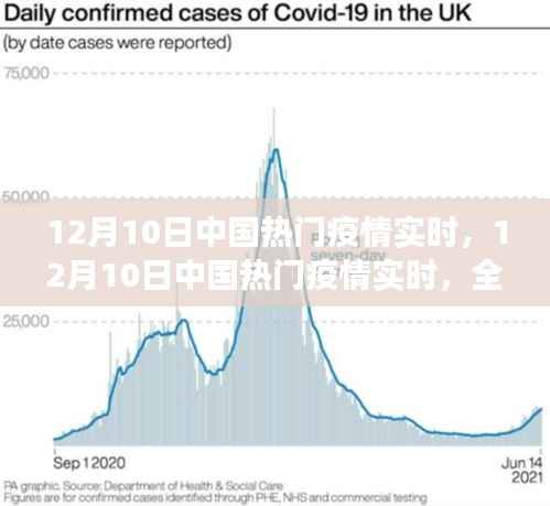 独家解析,中国疫情实时动态与洞察