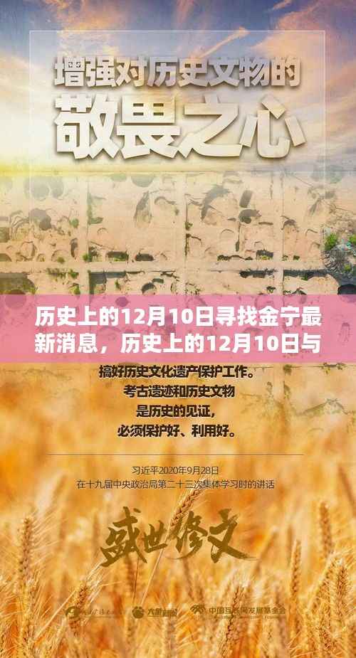 探寻时光轨迹,历史上的金宁最新消息回顾与探寻,12月10日的新闻印记揭秘