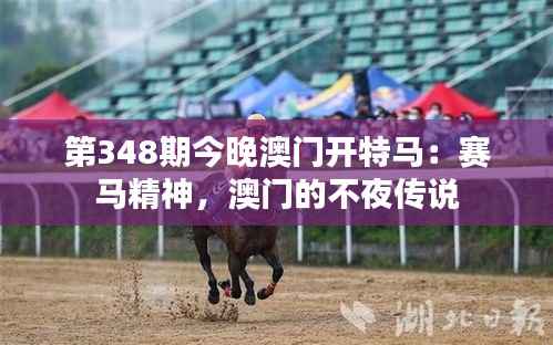 第348期今晚澳门开特马:赛马精神,澳门的不夜传说