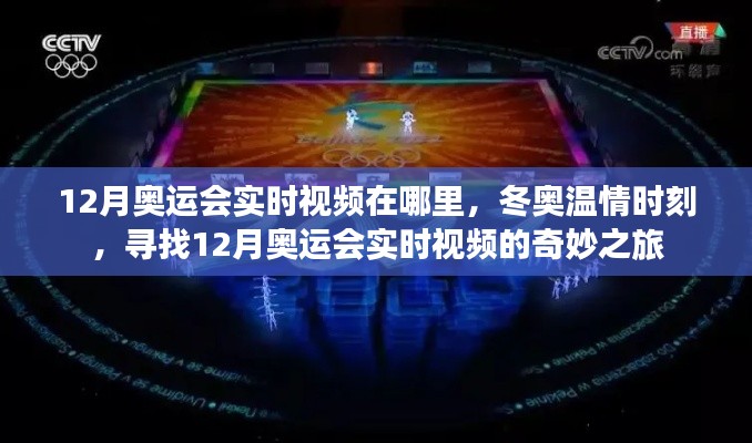 探寻冬奥温情时刻,实时视频回顾十二月的奥运奇妙之旅