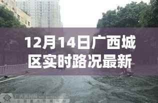 12月14日广西城区实时路况深度解析,最新动态与各方观点探讨