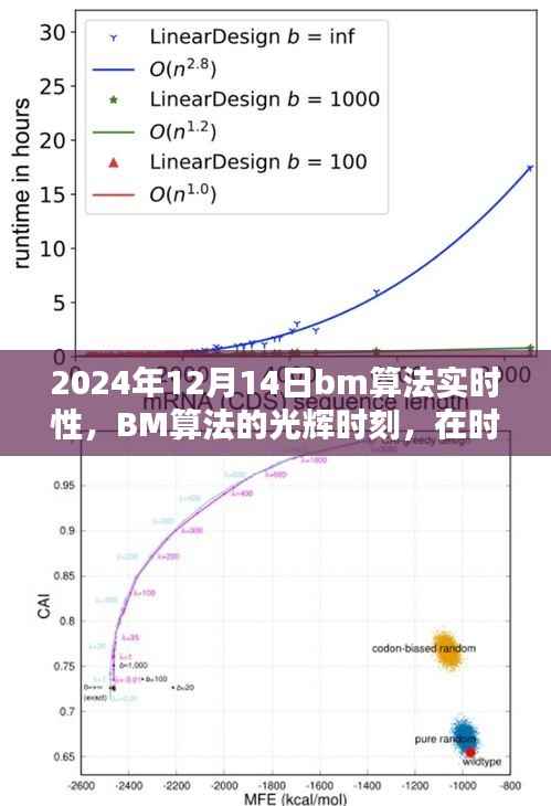 BM算法的实时性,掌握未来力量的光辉时刻(2024年12月14日)