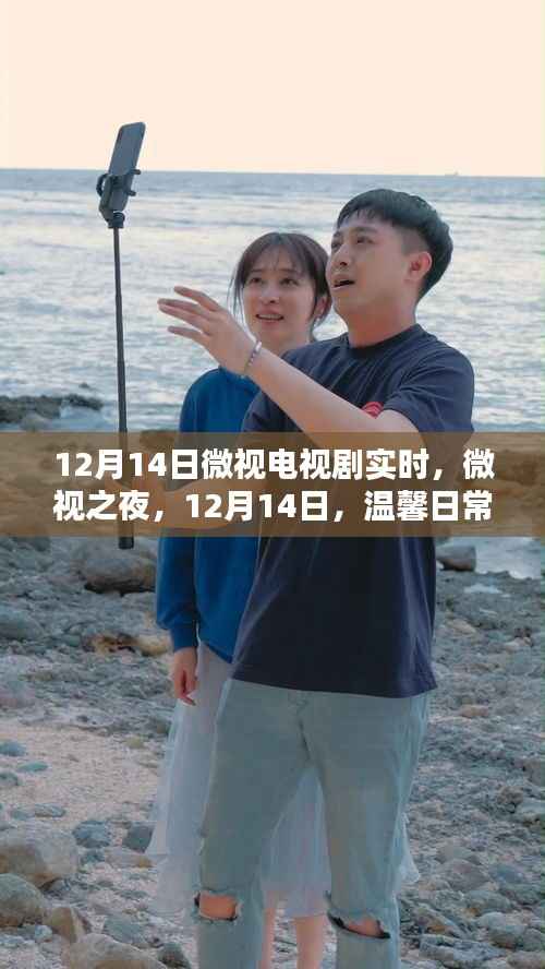 微视之夜,爱的传递与温馨日常,电视剧实时报道(12月14日)