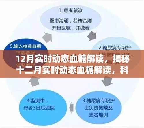 揭秘十二月实时动态血糖监测的关键要点,科学解读与精准管理