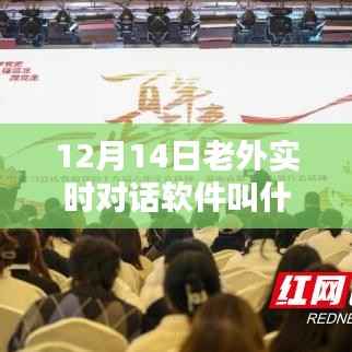 聚焦老外实时对话软件,热议话题揭秘与探讨,12月14日的软件名称揭秘