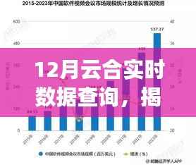 揭秘十二月云合实时数据查询,高效掌握信息的秘诀