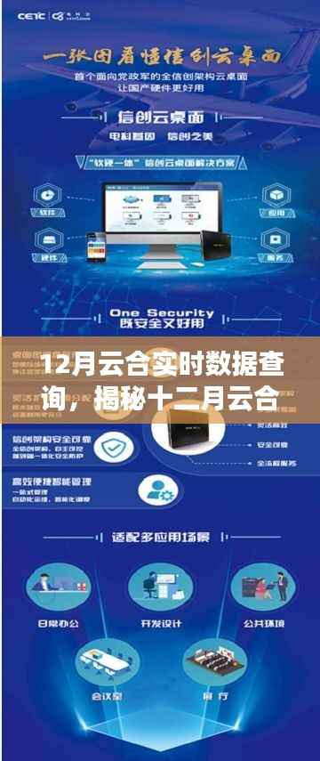 揭秘十二月云合实时数据查询,高效掌握信息的秘诀