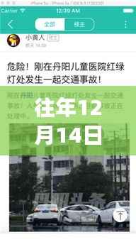 往年12月14日容县新闻热点聚焦,解读地方发展动态与实时新闻头条网