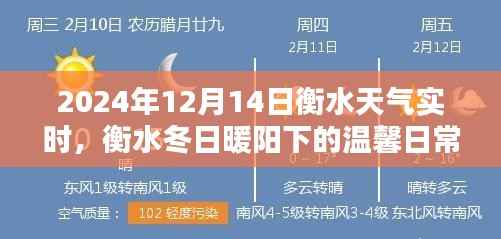 衡水冬日暖阳下的奇遇,2024年12月14日天气实时与温馨日常