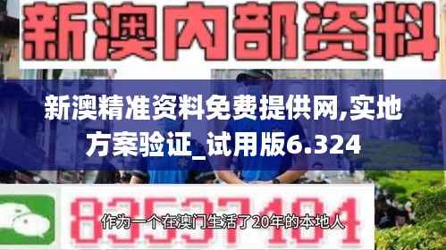 新澳精准资料免费提供网,实地方案验证_试用版6.324