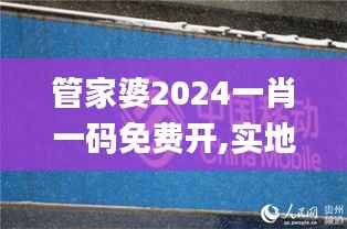 管家婆2024一肖一码免费开,实地验证方案策略_移动版3.413