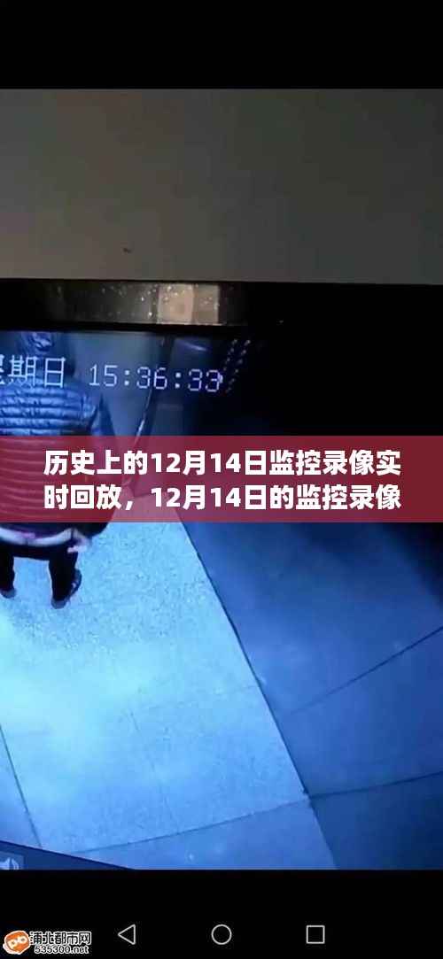 揭秘监控录像背后的暖心故事,12月14日的暖心时刻回顾