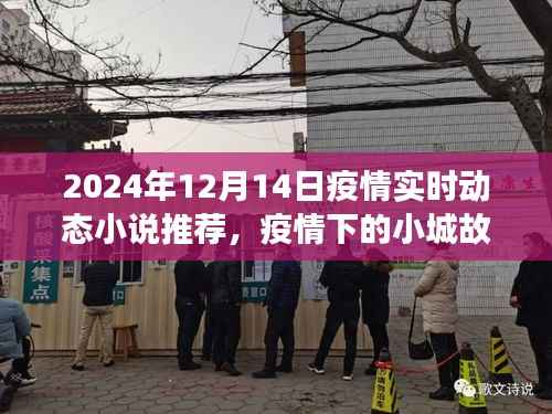 疫情下的小城故事,实时动态小说推荐与感悟(XXXX年疫情最新进展)