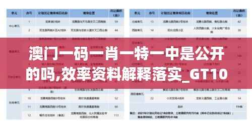 澳门一码一肖一特一中是公开的吗,效率资料解释落实_GT10.225