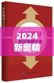 2024新奥精准正版资料:备战高效率指南