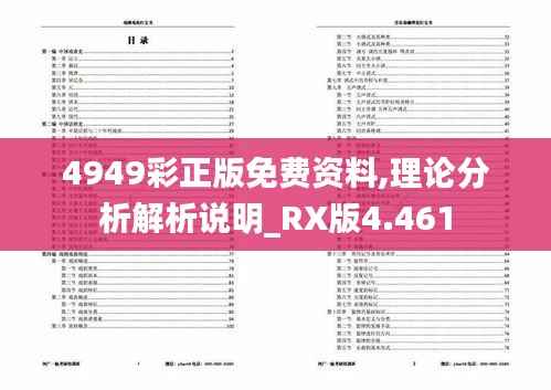 4949彩正版免费资料,理论分析解析说明_RX版4.461