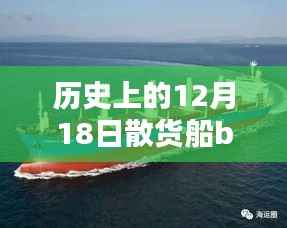 历史上的12月18日BHSI散货船指数实时回顾与解析,深度探讨指数动态及趋势分析
