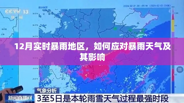 应对暴雨天气及其影响的策略,实时应对指南