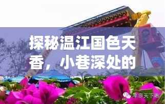 探秘温江国色天香,小巷深处的风情与美食秘密