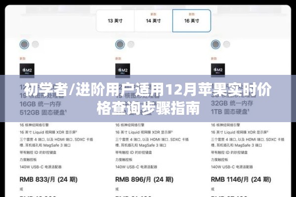 苹果实时价格查询指南,适合初学者与进阶用户的12月查询步骤