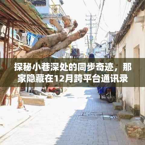 探秘小巷深处的实时同步特色小店,隐藏在跨平台通讯录中的同步奇迹