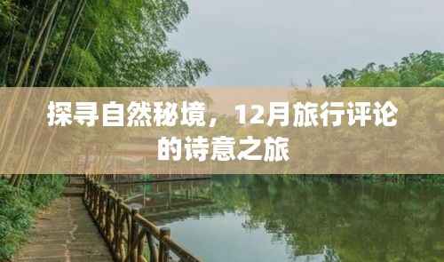 探寻自然秘境,诗意之旅的十二月旅行评论